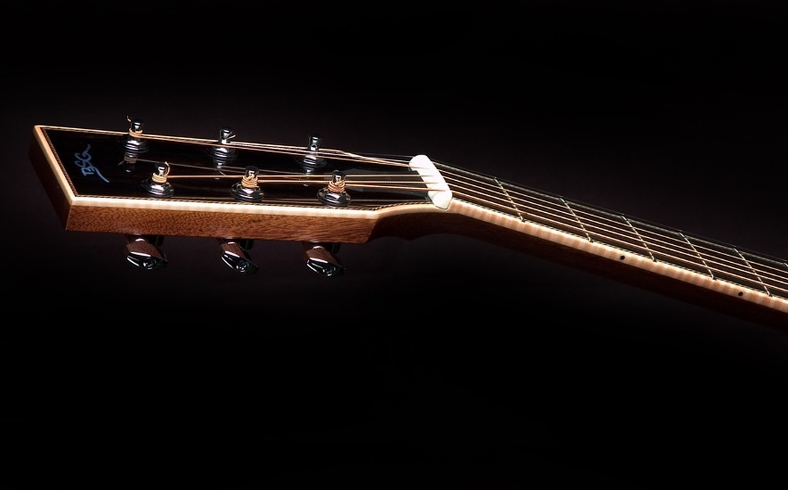 D 10 F Mahagony - BSG Custom Guitars
