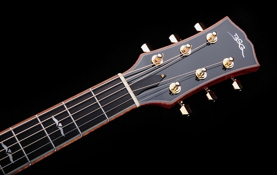 GJ 33 F  Rio Rosewood - BSG Custom Guitars
