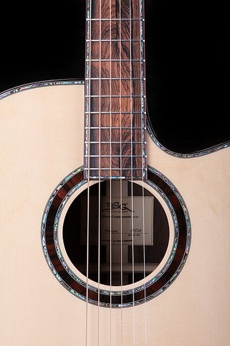 D 37 CF Amazon Rosewood - BSG Custom Guitars