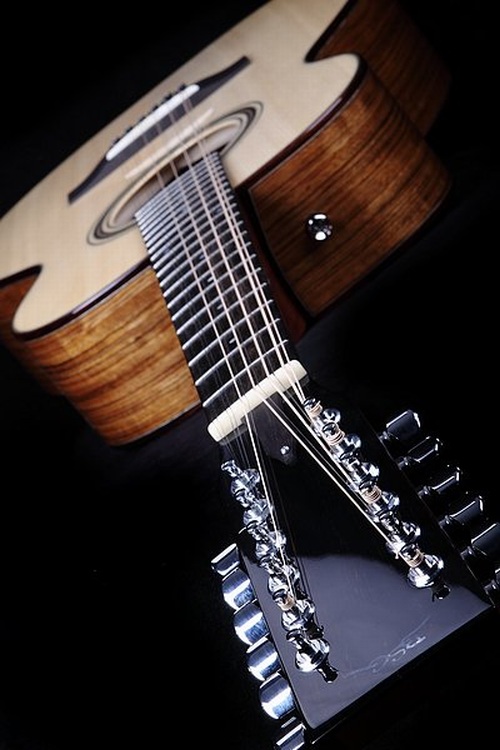 OM 14 F Twelve - Ovangkol - BSG Custom Guitars