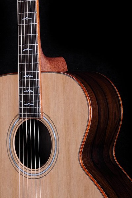 GJ 43  F Ziricote   ( Pavol Hammel ) - BSG Custom Guitars