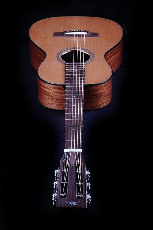 P 10 F Mahagony - BSG Custom Guitars